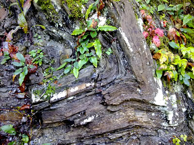 rocce appennino