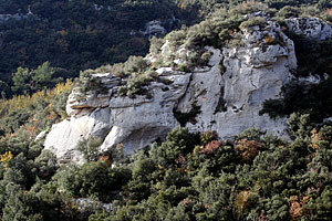 zion park