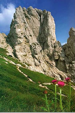 Trekking