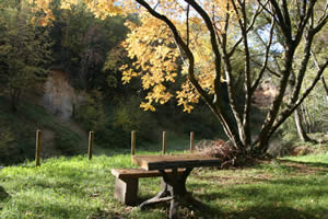 zion park