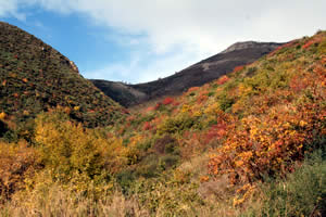 zion park