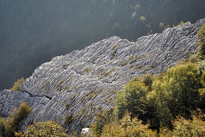 campi solcati