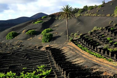 Marocco trekking