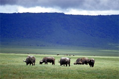 Kenya trekking
