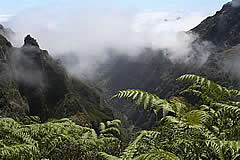 viaggi  madeira