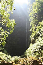 Trekking Madeira