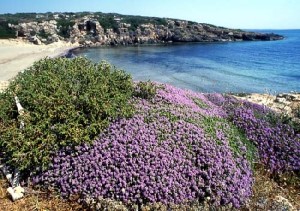 Oasi Naturalistica di Vendicari