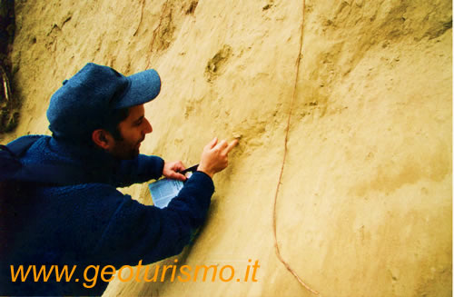 Affioramenti di fossili Valle Andona, Valle Botto e Valle Grande