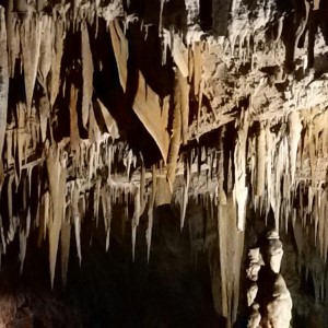 dettaglio speleotemi